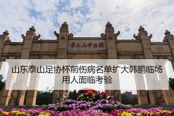 山东泰山足协杯前伤病名单扩大韩鹏临场用人面临考验